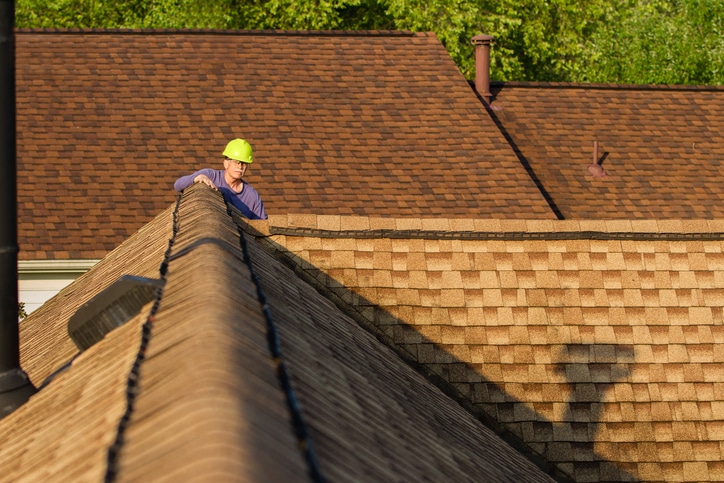 Roof health check