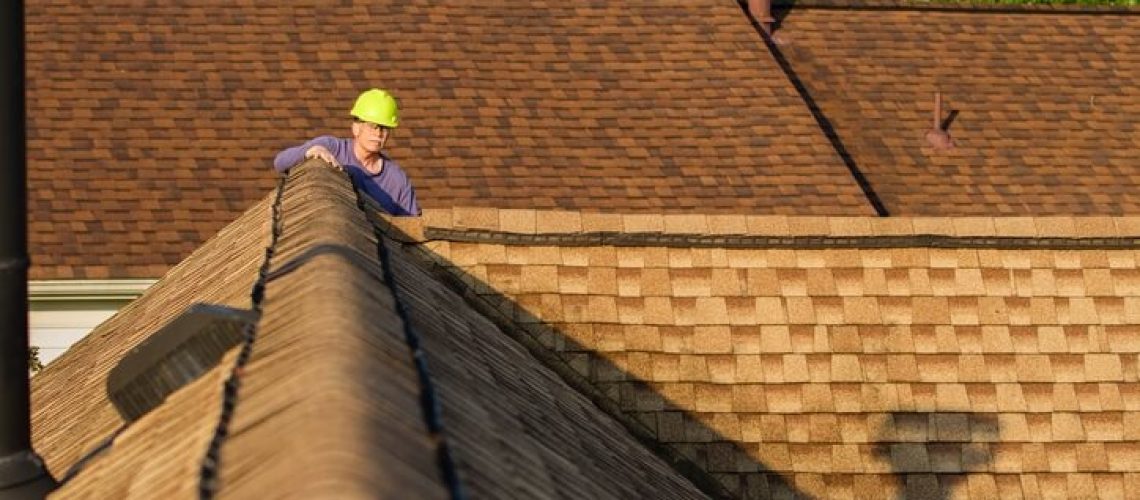 Roof health check