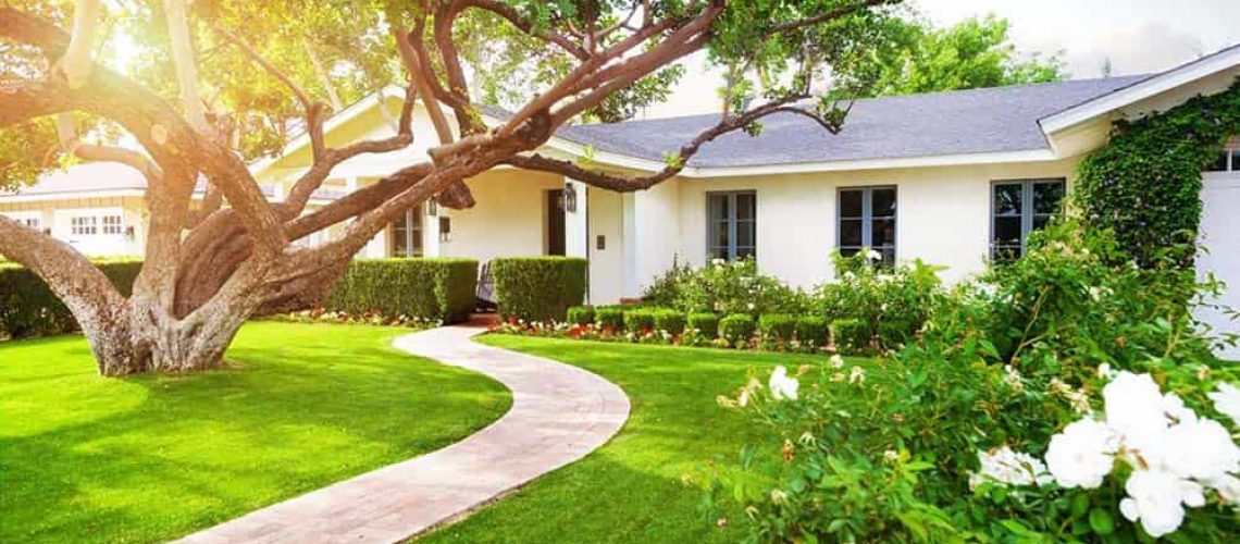 Springing into Roof Care