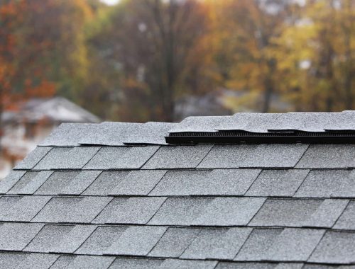 Cedar Shingles